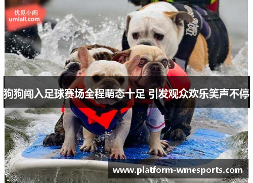 狗狗闯入足球赛场全程萌态十足 引发观众欢乐笑声不停