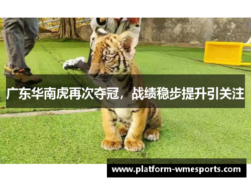 广东华南虎再次夺冠，战绩稳步提升引关注