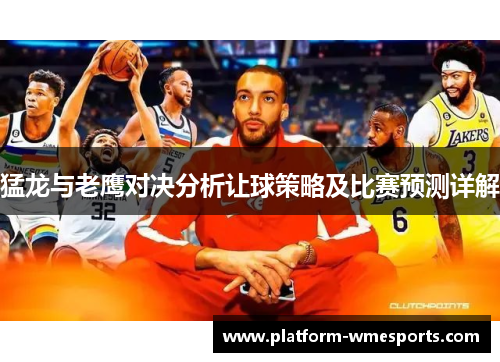 猛龙与老鹰对决分析让球策略及比赛预测详解